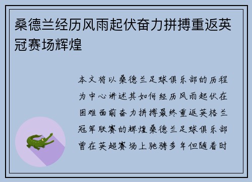 桑德兰经历风雨起伏奋力拼搏重返英冠赛场辉煌 桑德兰经历风雨起伏奋力拼搏重返英冠赛场辉煌